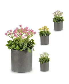 Plantă decorativă Plastic (20 x 30 x 20 cm)