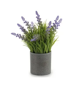 Plantă decorativă Gri Plastic (8 x 23 x 8 cm)